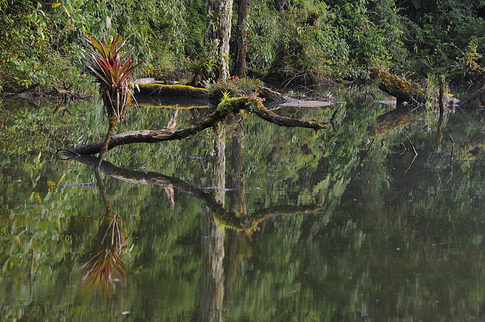 Laguna Guagua Sumaco