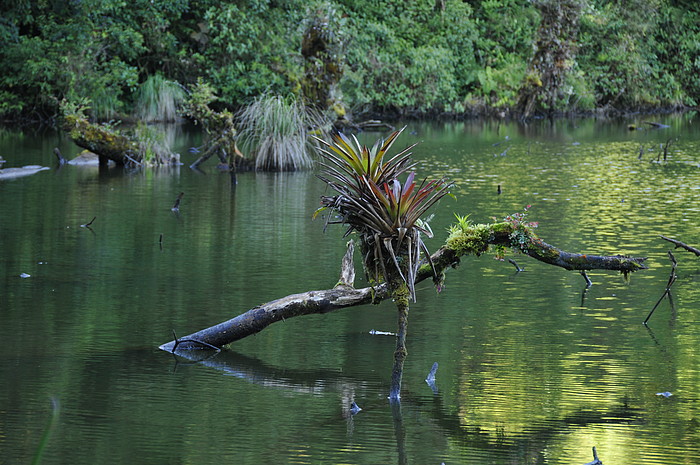 Laguna Guagua Sumaco