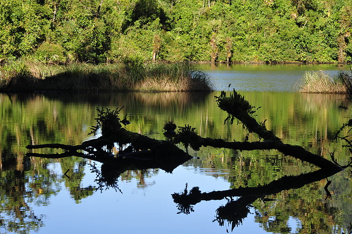 Laguna Guagua Sumaco