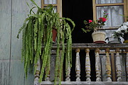 Balkon in Zaruma