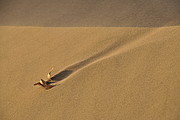 Sanddünen bei Huacachina