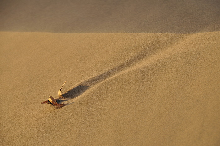 Sanddnen bei Huacachina