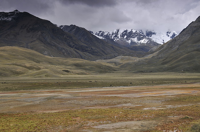 Paramo bei Pastoruri