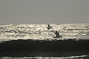 Caballitos de Totora