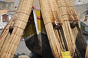 Caballitos de totora