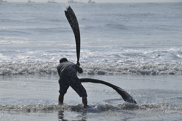 Caballitos de Totora