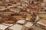 Salinas