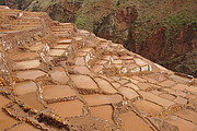 Salinas