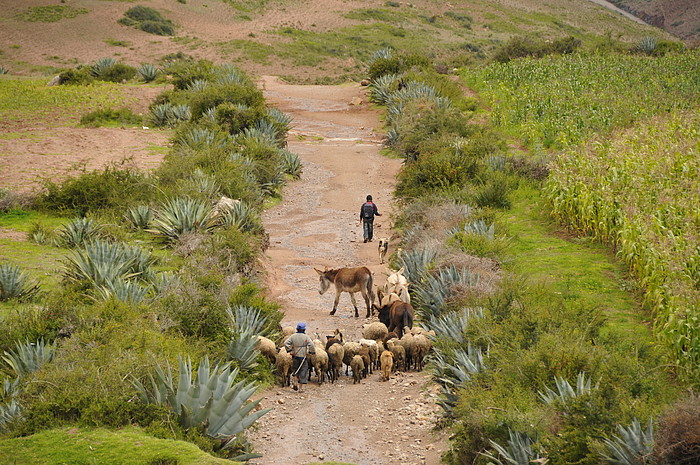 Urubamba Tal