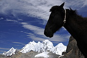 Huayhuash