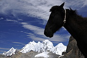 Huayhuash