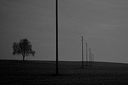 Schwarzweiss