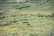 Torres del Paine Nationalpark