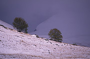 Col du Glandon