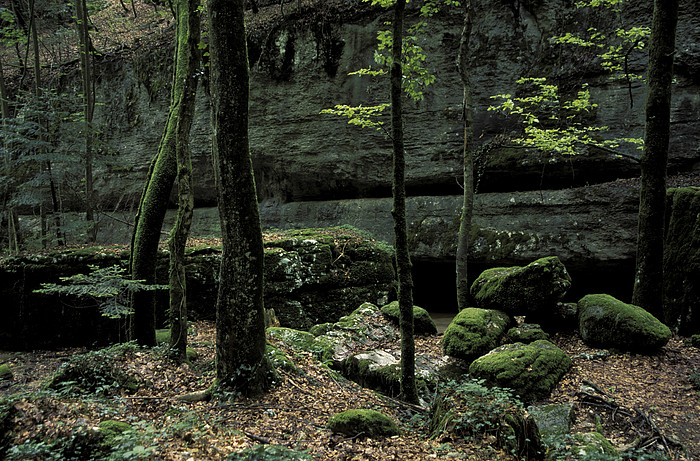 Twann Bach Schlucht