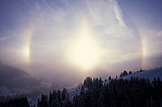 Halo