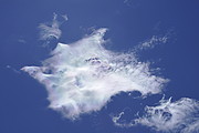 Wolken