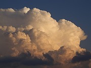Cumulus Wolke