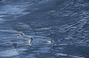 Wasseroberfläche