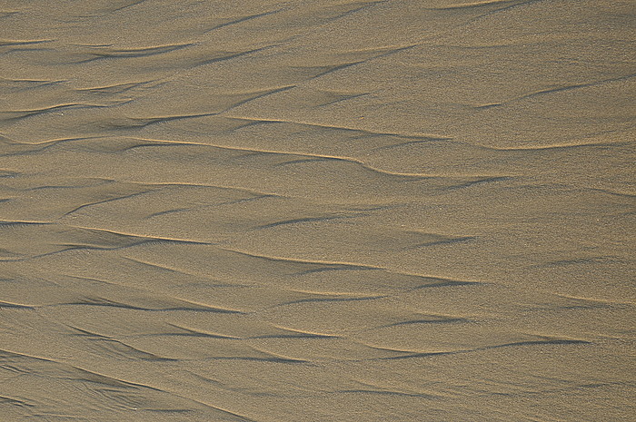 Rippelmarken im Sand