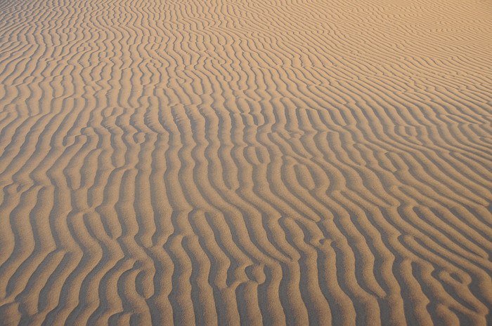 Sanddnen