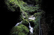 Twann Bach Schlucht