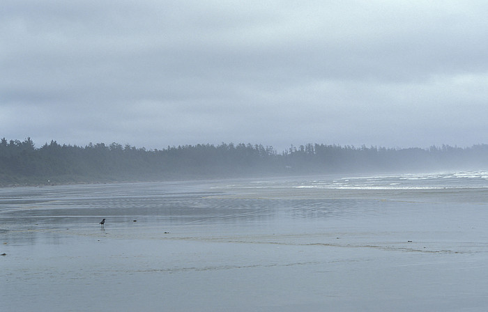 Long Beach