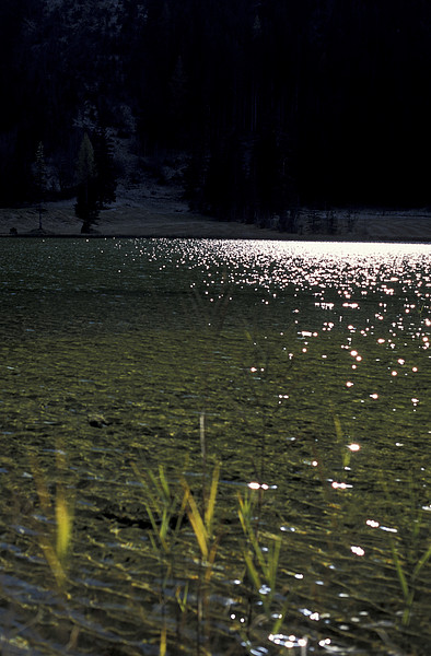Lauenensee